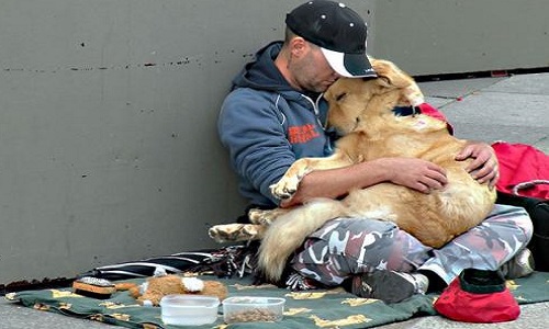 Retrait de la pétition : surveiller / limiter les chiens de SDF sur le site MesOpinions.com