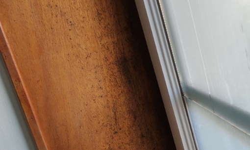 Que le bailleur reloge tous les locataires qui ont des problèmes de logement