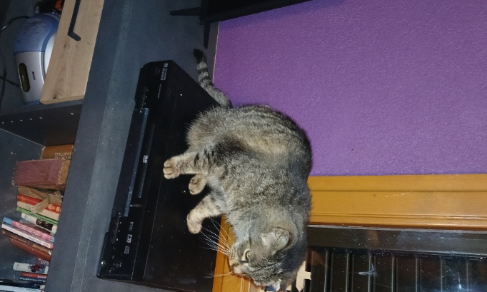 Annulation du marché aux puces de ballersdorf du 30 mars 2025