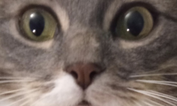 Il faut s&rsquo;abonner &agrave; moi