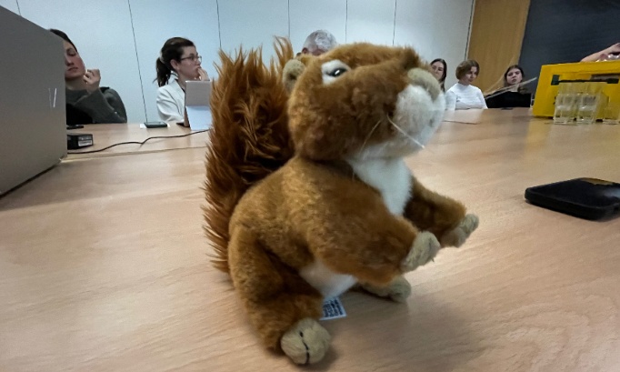 P&Eacute;TITION URGENTE - POUR LE RETOUR DE WARDZI, ENLEV&Eacute; SANS C&OElig;UR NI HONNEUR