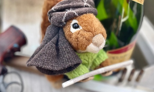 Laisser Wardzi vivre sa nouvelle vie