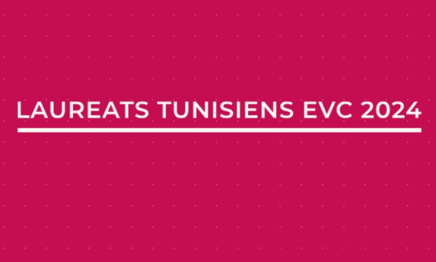 Demande urgente d’ouverture de rendez-vous pour les demandes de VLS mention travail