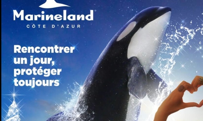 Petition pour le bien &ecirc;tre des animaux la r&eacute;ouverture et la reprise des spectacles aux marineland d antibes nous l&acirc;cheront jamais notre combat