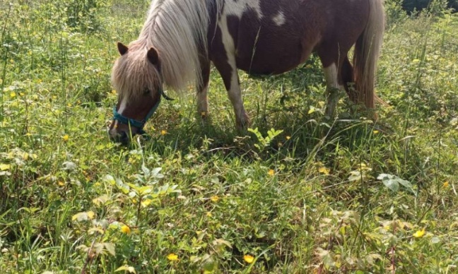 Propri&eacute;taire aigrie, go le pr&eacute;nom rigolo !