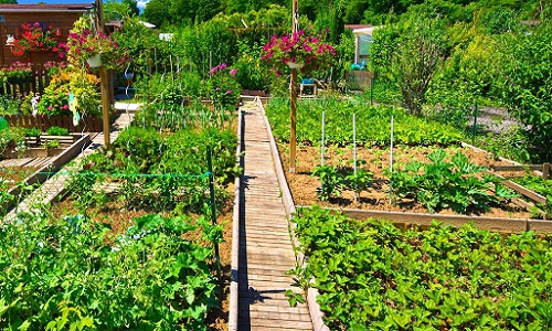 Sauvons nos jardins, non à la taxe Potager sur Marseille