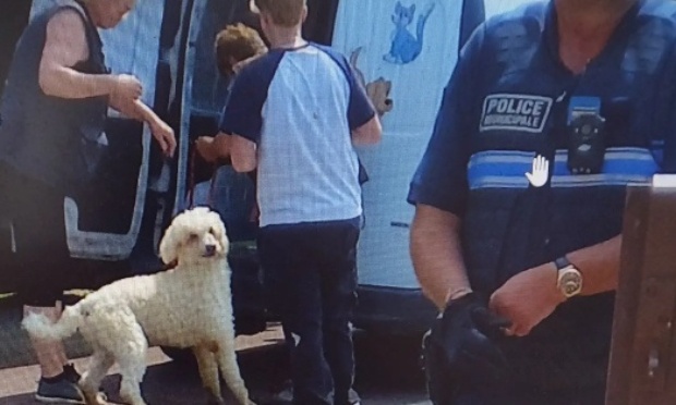 Rendez moi mon chien Napoléon saisi illégalement