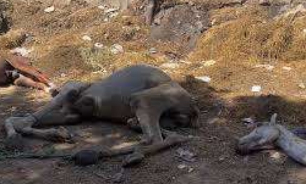 Pour l’interdiction des abus et un encadrement strict...