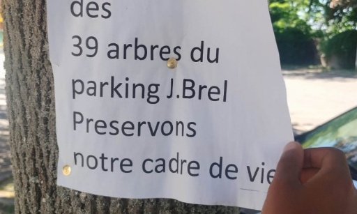 Pour la sauvegarde des arbres du parking J.Brel