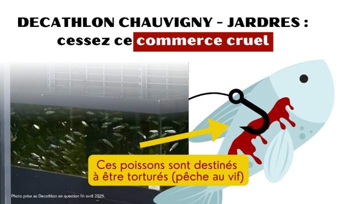 Decathlon Chauvigny - Jardres : cessez ce commerce cruel