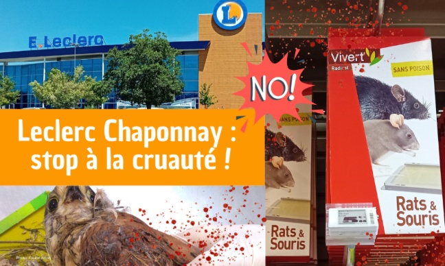 Pour le retrait des pièges à colle au Leclerc Chaponnay