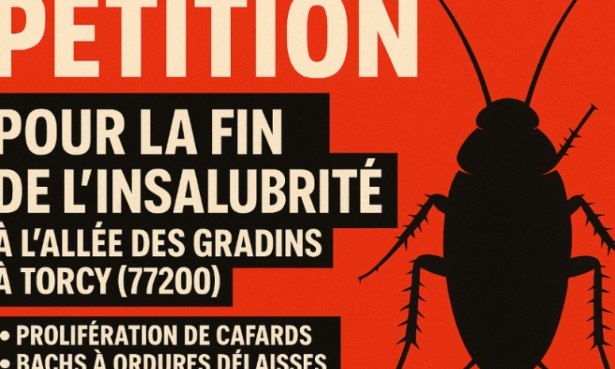 Pour la fin de l’insalubrité à l’allée des Gradins à Torcy (77200)