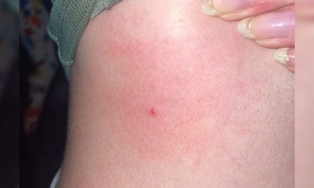 Stop aux agressions pendant la fête de la musique !