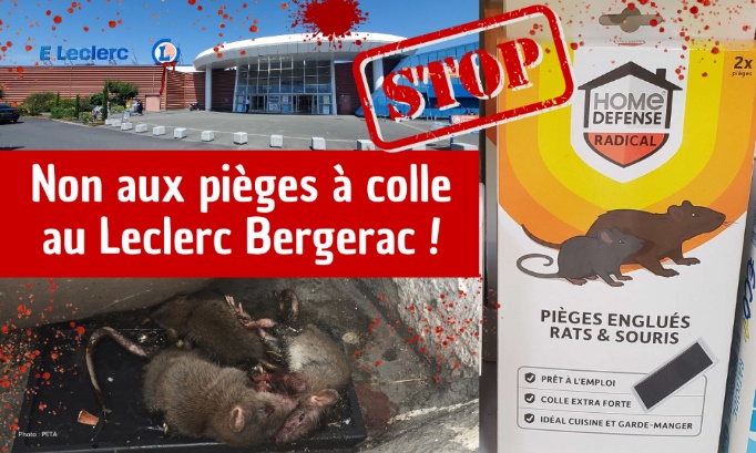 Non aux pièges à colle au Leclerc Bergerac
