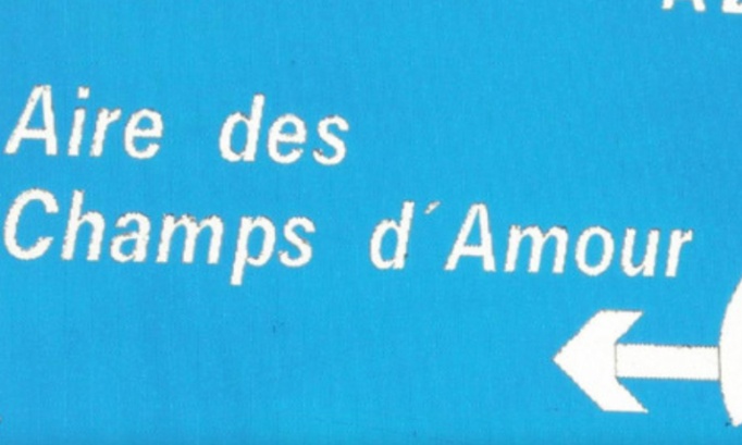 Pour un déploiement de bornes de recharge à l'aire des champs d'amour