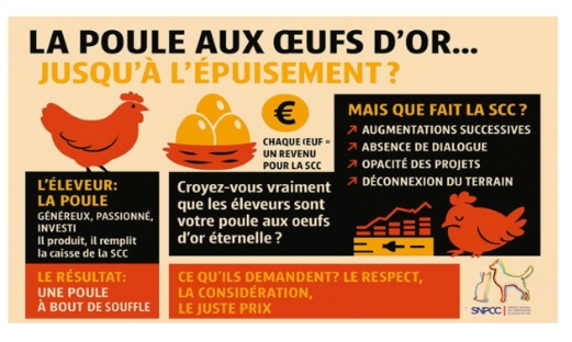 Éleveurs : pour un certificat de naissance / pedigree au juste prix !