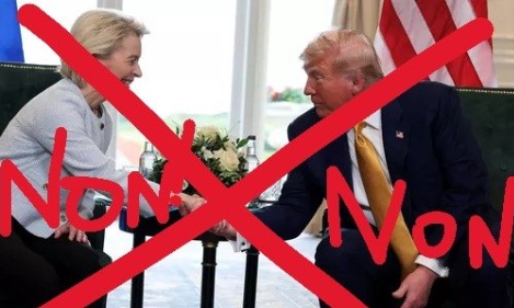 Ursula von der Leyen démission