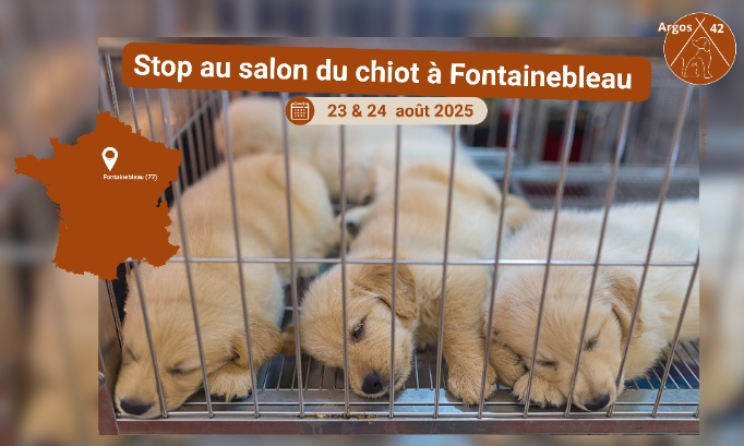 Stop au salon du chiot à Fontainebleau – 23 et 24 août 2025