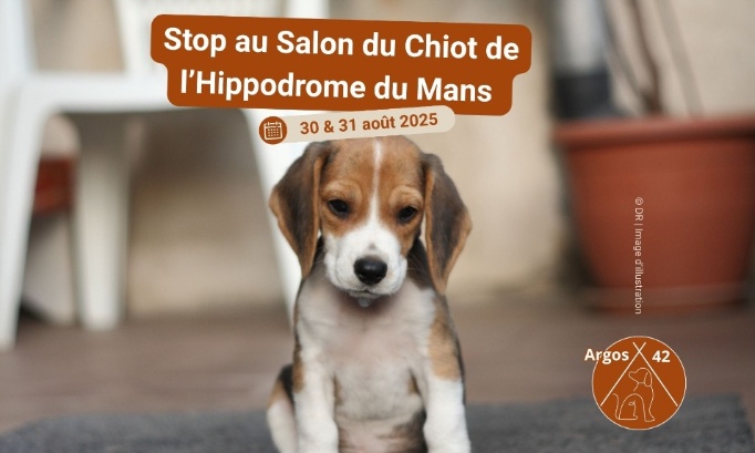Stop au Salon du Chiot de l’Hippodrome du Mans les 30 et 31 août 2025