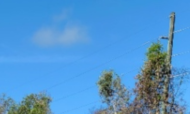 Arrestation et déportation André Michel