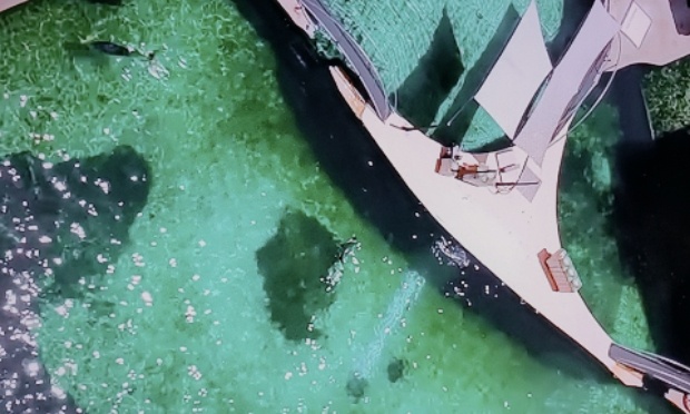 Sauvons les orques du MarineLand