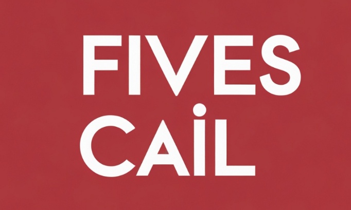 PÉTITION CITOYENNE POUR LA SÉCURISATION DU QUARTIER FIVES CAIL (LILLE 58000)