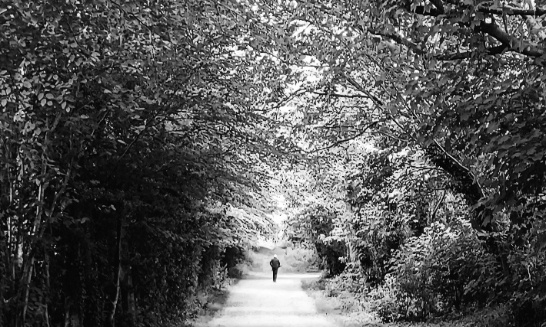 POUR UN STATUT NATIONAL MODULÉ ET RECONNU DES AIDANTS FAMILIAUX : UNE URGENCE SOCIALE