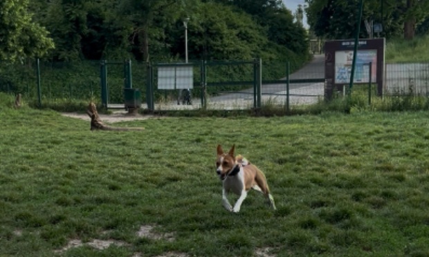 Un grand caniparc pour les chiens de Bobigny