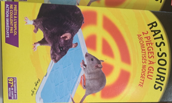 Retirer de vos rayons les pièges à glu de Mr Bricolage Clermont-L'Hérault