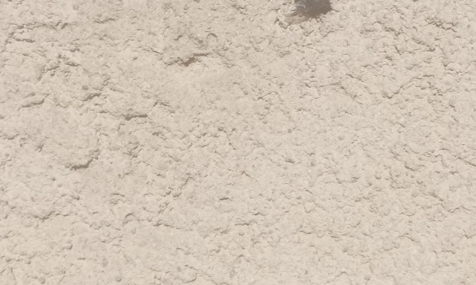 Contre la suppression des jours fériés