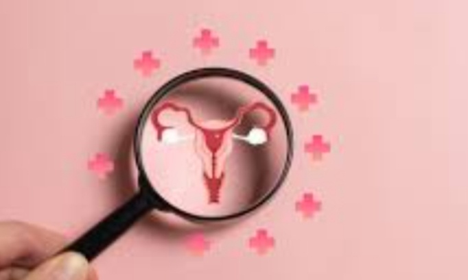 Traitements hormonaux efficaces MENOPAUSE : Femmes en souffrances !!