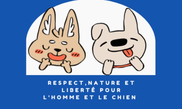 Moins d'interdits pour nos amis à quatre pattes sur les plages de CORNOUAILLE