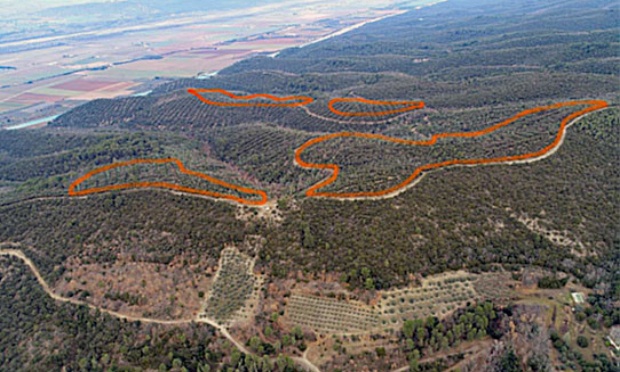 Non au défrichement du bois saint-martin pour une centrale photovoltaïque industrielle.