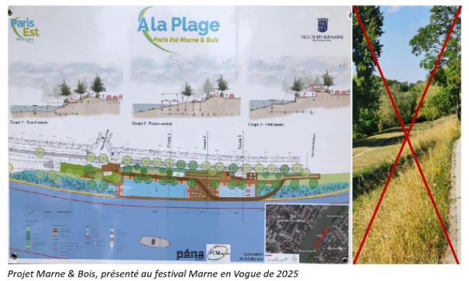 Bry sur Marne : NON aux bassins de baignade sur les bords de Marne ! NON à la bétonisation et la privatisation de la seule berge naturelle de Bry