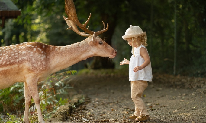 Pour une prise de conscience sur la cause animale