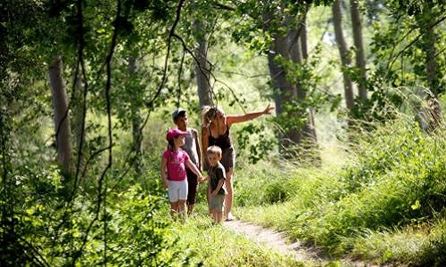 Interdire la chasse en France le week-end