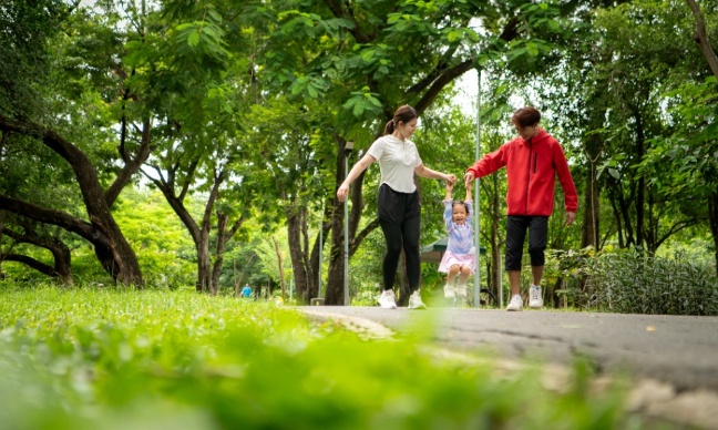 Annulation de travaux de demolition