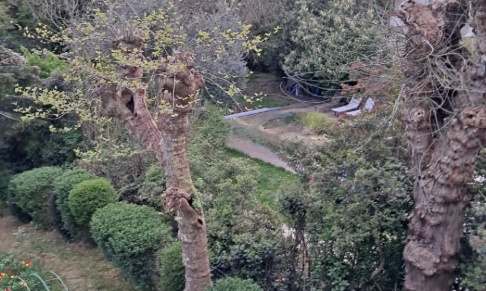 Enghien les bains : atteinte à la préservation des zones vertes arborées protégées.