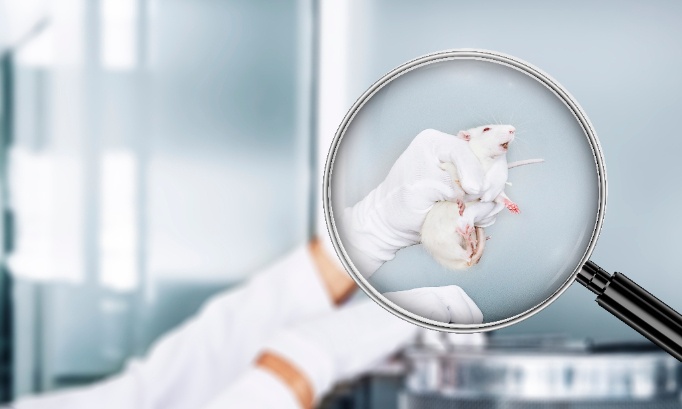 Stop à l'abattage d'animaux dans les laboratoires !