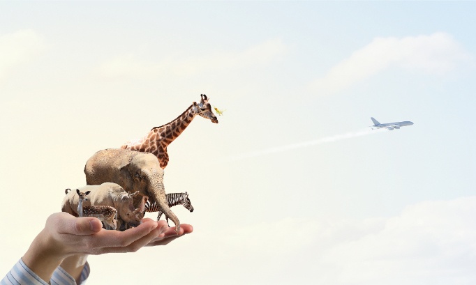 Pour un ministère dédié à la protection des animaux