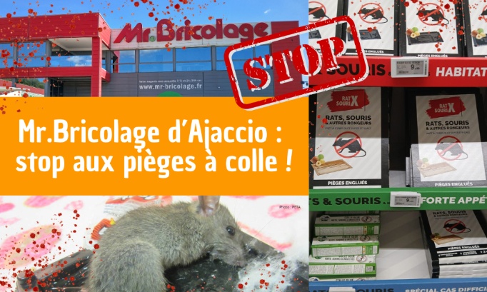 Stop à la vente de pièges à colle au Mr.Bricolage Ajaccio