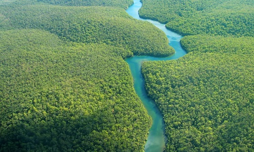 Protéger la forêt amazonienne