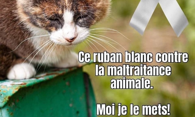 Pour l'interdiction de l'esclavage animal et la maltraitance