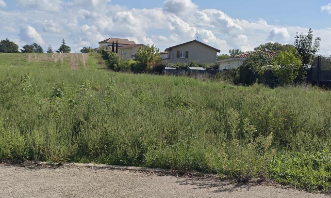 Lutte contre l'ambroisie à Charvieu-Chavagneux