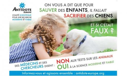 Expérimentation animale : exigeons une commission d'enquête parlementaire !