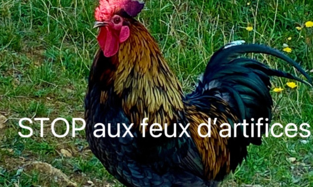 Arrêter les feux d’artifices à Cannes