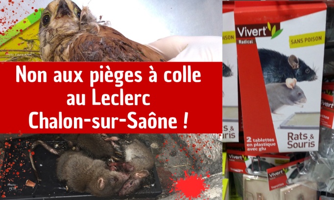 Stop à la cruauté animale au Leclerc de Chalon-sur-Saône