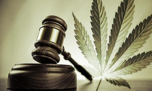 Légalisation de la Marijuana