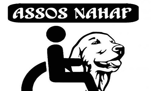 Matériel pour personnes handicapées