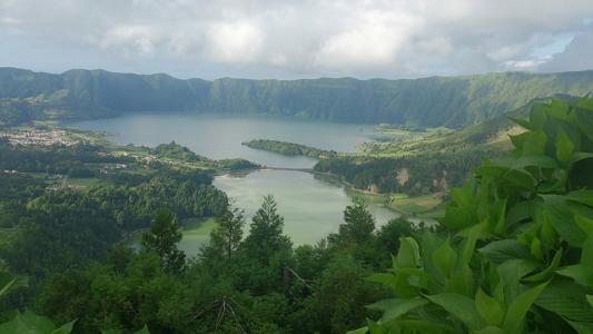 Liberté d'expression dans les réseaux sociaux